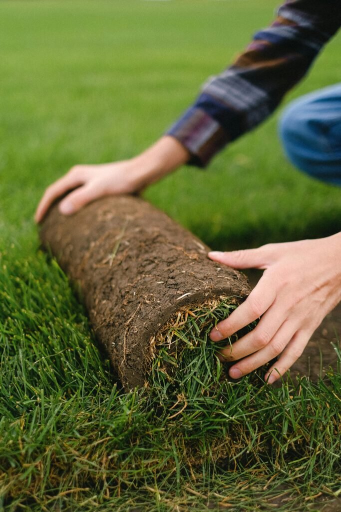 rolling sod