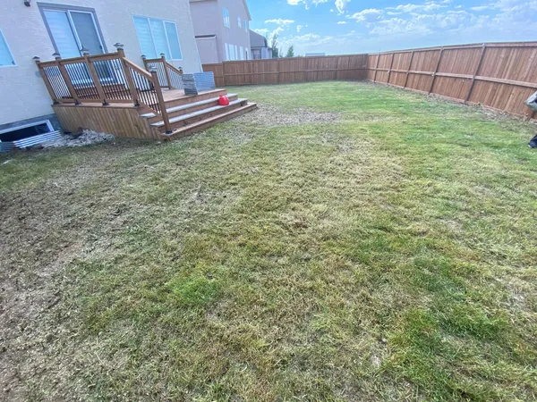 backyard after image